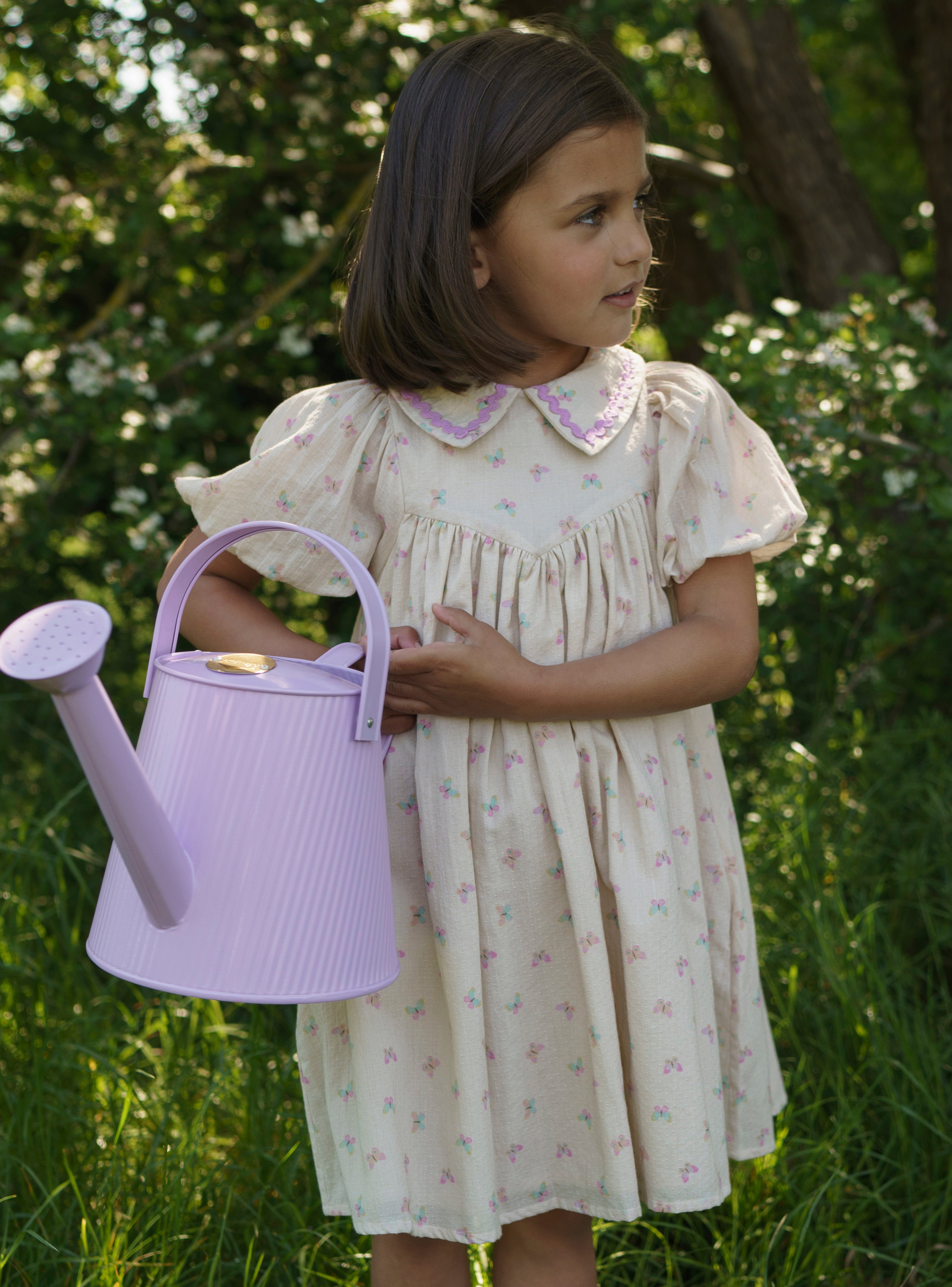 Beth Dress - BUTTERLIES PRINT