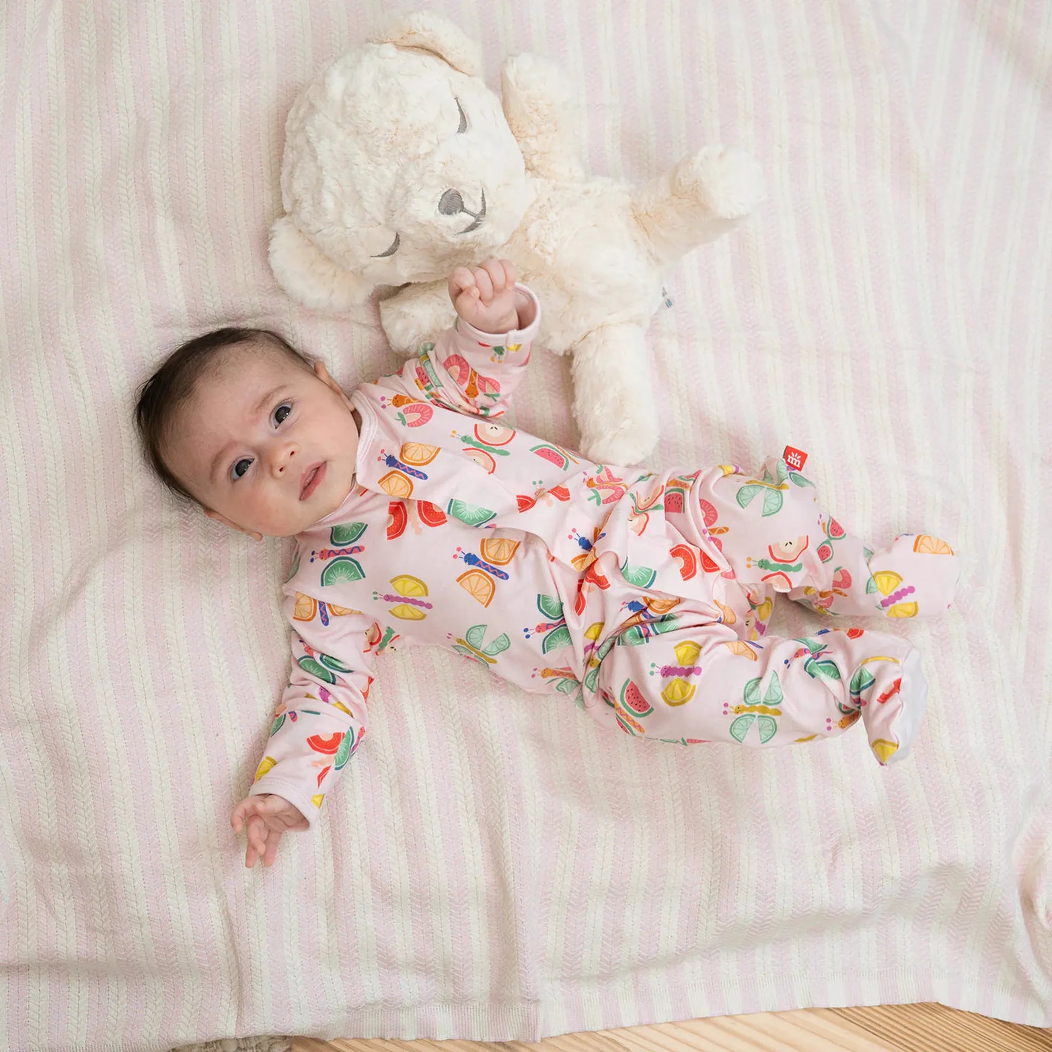 Fruit Flies Modal Magnetic Footie